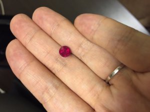 indoor_handshot.jpg