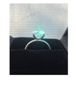 ring_side_view.png