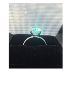 ring_side_view.png