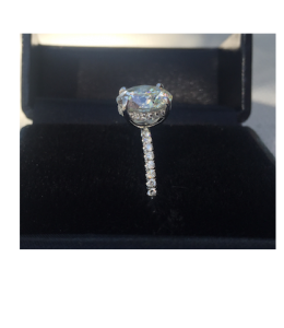 ring_side_view_2.png ring_side_view_2.png