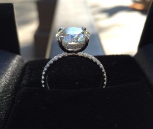ring_side_view_3.jpg ring_side_view_3.jpg