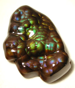 fireagate3.JPG