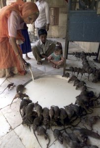 Only_in_India(1).jpg