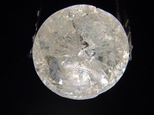 G P1 small.jpg