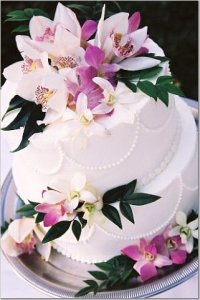 white cake with pink orchids.jpg
