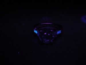 DSC00022.JPG
