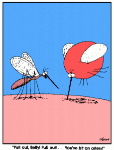 mosquito.gif