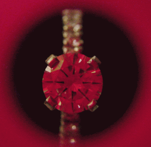 idealscope ering 1 brighter.gif