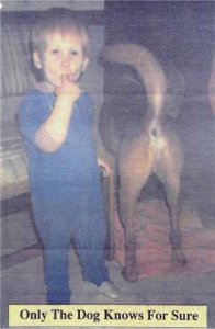 dogknows.jpg