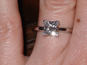 IMGP0923.gif