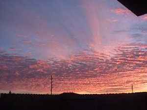 011505-05.jpg