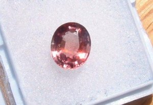 pinkspin.JPG