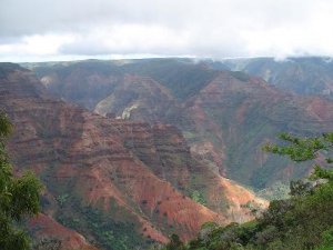 InteriorKauai.JPG