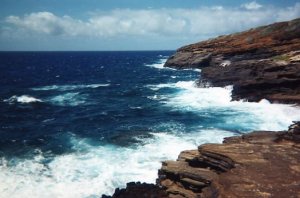 img081.jpg