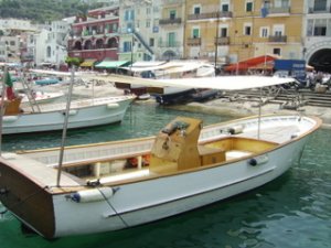 capri1.jpg