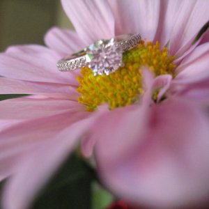 small IMG_1355.jpg