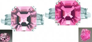 2Pinks3.jpg