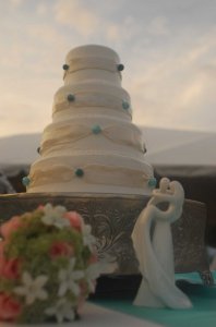 Cake in Color.JPG