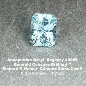 9085aq.jpg