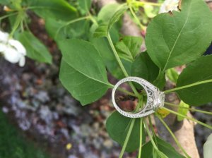 Ring photo shoot in flowers!!!! Let's see em... | PriceScope Forum