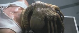 _30564.jpg