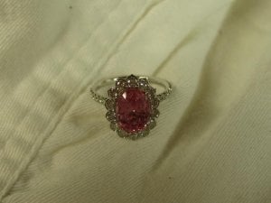 img_8095.jpg