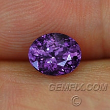 sapphire_blue_1235_a.jpg