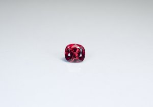 _31001.jpg