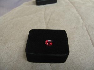 img_8260.jpg