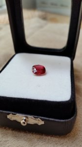 20150613_144305.jpg