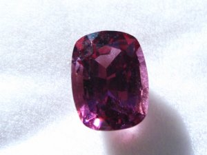 img_8313.jpg