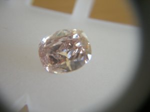fancybrownpink24.jpg