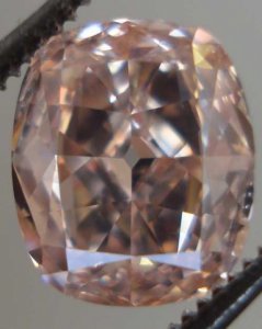 fancybrownpink05.jpg
