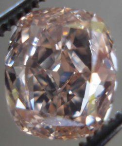 fancybrownpink06.jpg
