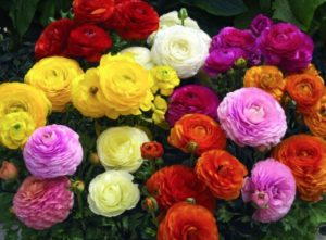 screen_shot_2015-06-27_at_7.png