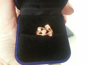 new_rings_1159.jpg