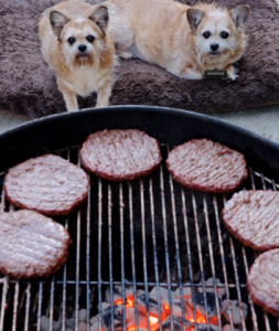 screen_shot_2015-07-02_at_11.png