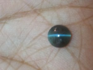 20150709_132713.jpg