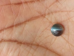 20150709_132531.jpg