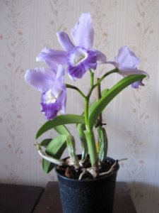 img_8557.jpg