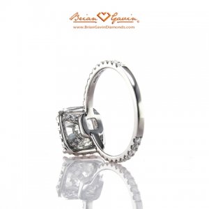 briangavin_halo_scotts3_071715.jpg