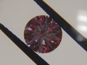 _32640.jpg