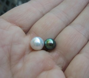 pploosepearls_0762.jpg