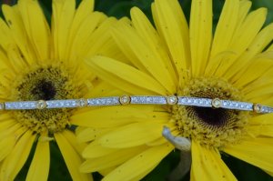 dsc_318.jpg