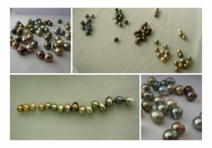 1508fjh2_collage.jpg