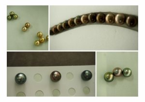 1508fjh3_collage.jpg