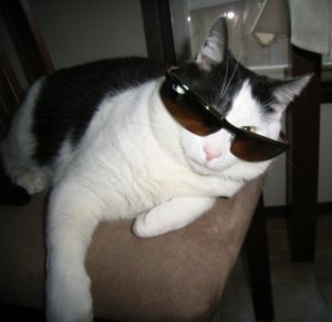 coolpip2009.jpg coolpip2009.jpg