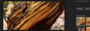 bryce_twisted_wood_1.jpg
