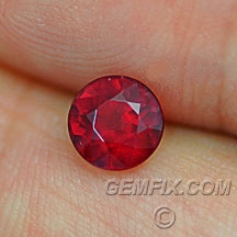 ruby_584_a.jpg