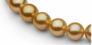 golden5.jpg